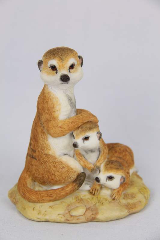 Meerkats