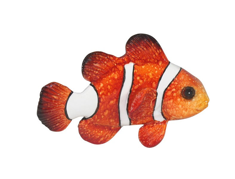 Clown Fish