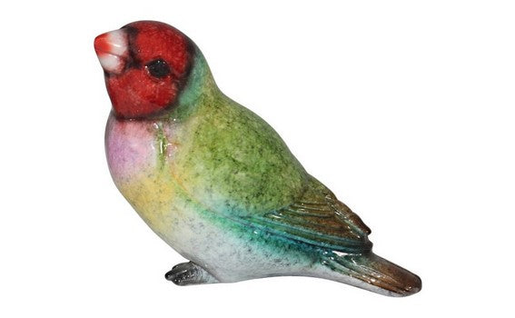 Finch - Red Head