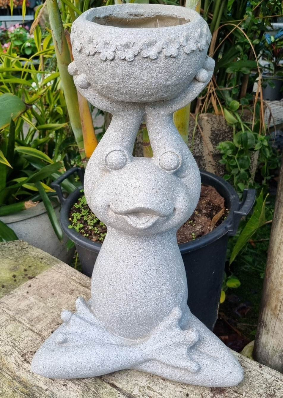 Frog Holding Up Planter