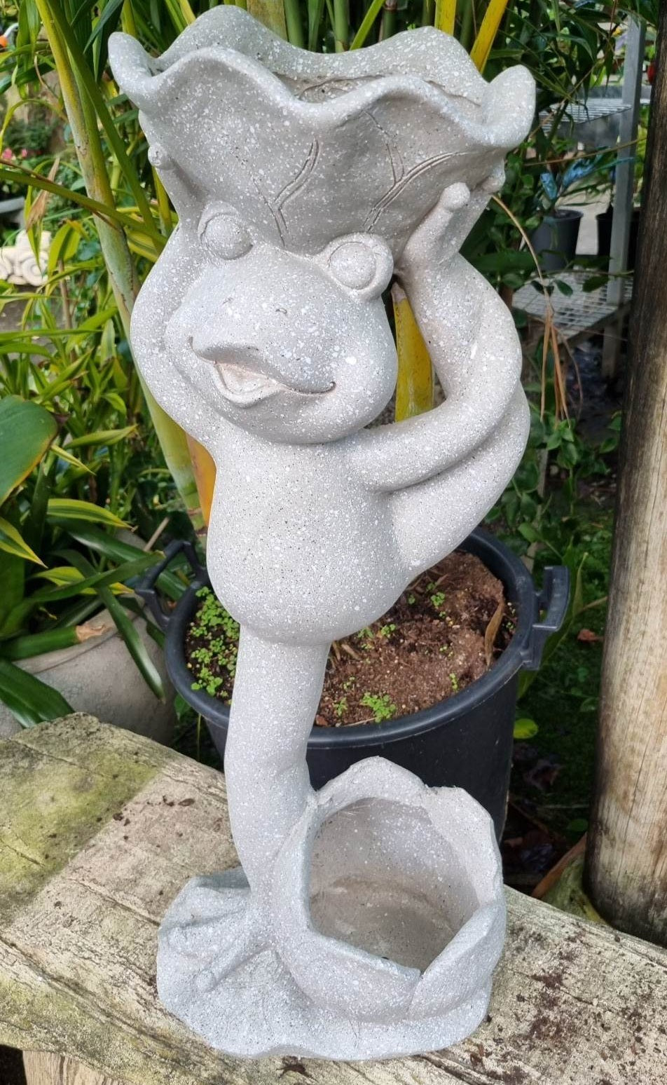 Frog Standing On One Leg With Two Planters