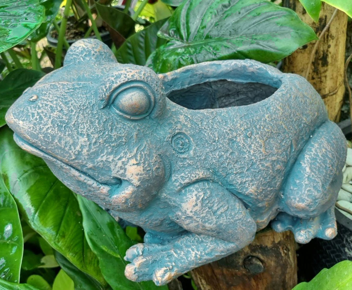 Frog Planter