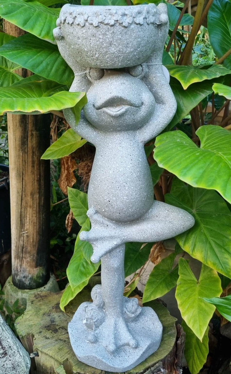 FROG YOGA STANDING ON ONE LEG HOLDING UP PLANTER