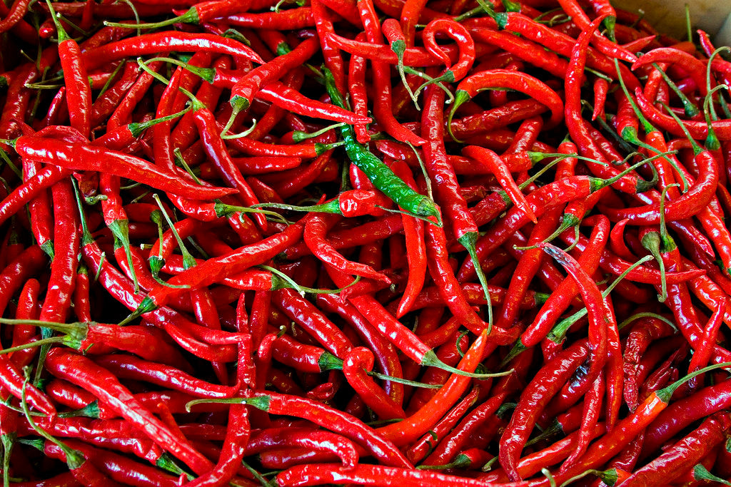 Chilli Pepper - THAI HOT - Capsicum annuum