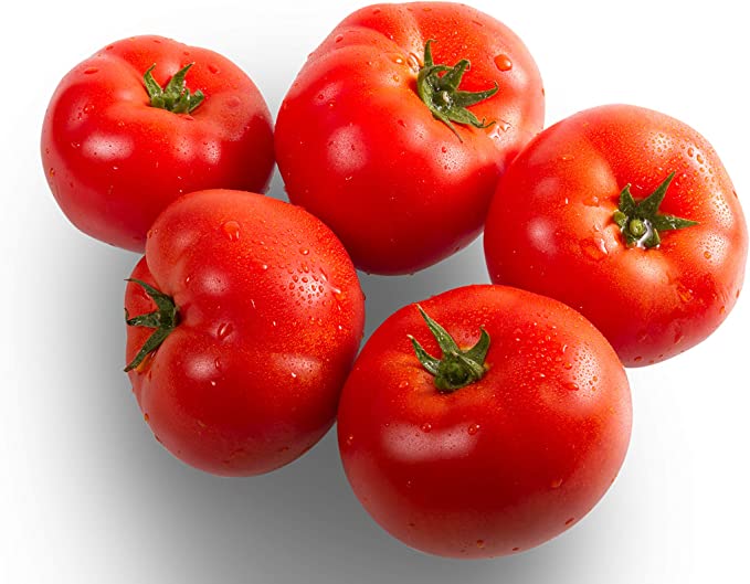 Tomato - BURNLEY BOUNTY - Solanum lycopersicum