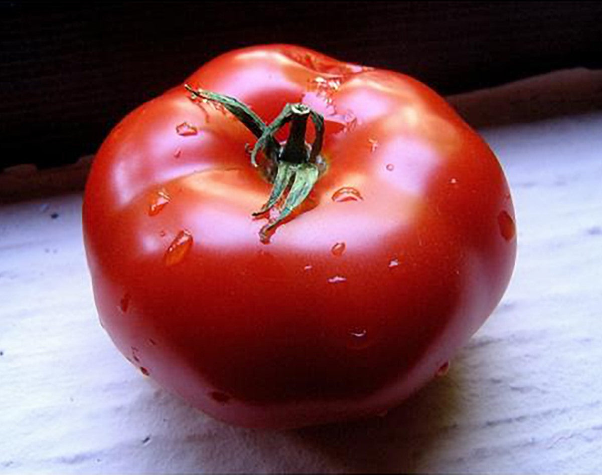 Tomato - BURNLEY BOUNTY - Solanum lycopersicum