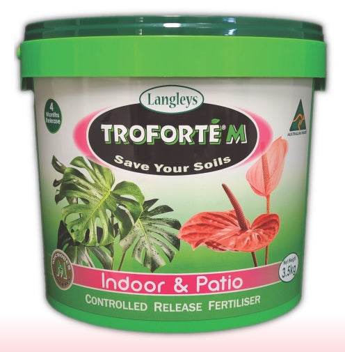 Troforte M Indoor And Patio