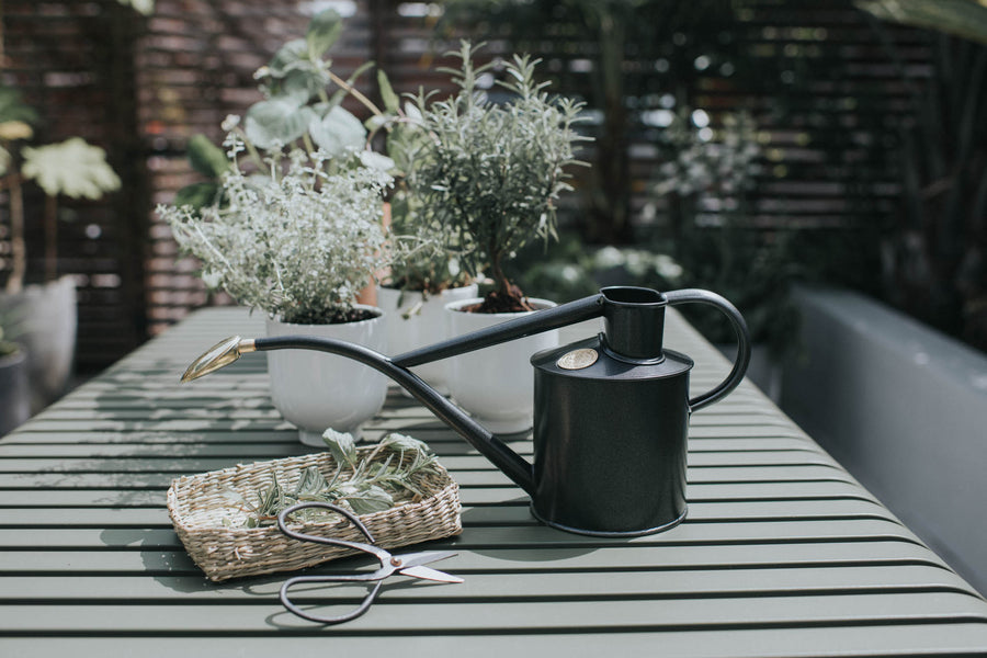 Rowley Ripple Watering Can Graphite