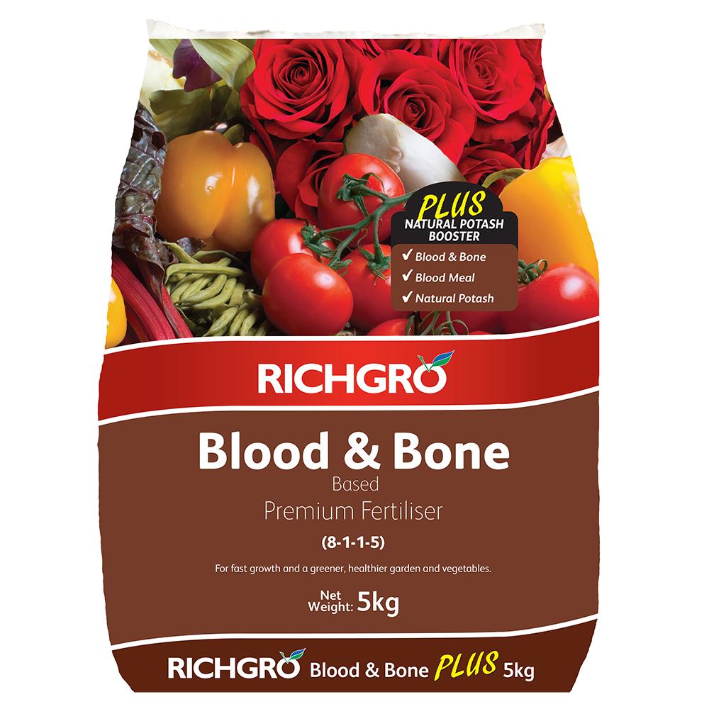 Blood And Bone Plus
