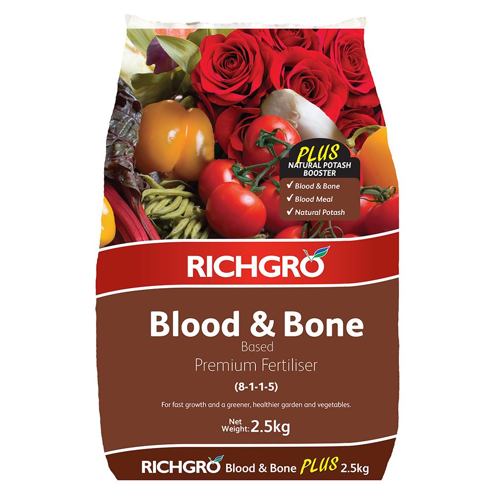 Blood And Bone Plus