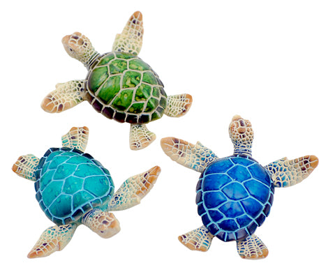 Turtle Tropical