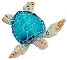 Turtle Tropical