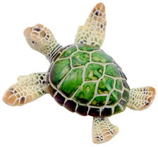 Turtle Tropical