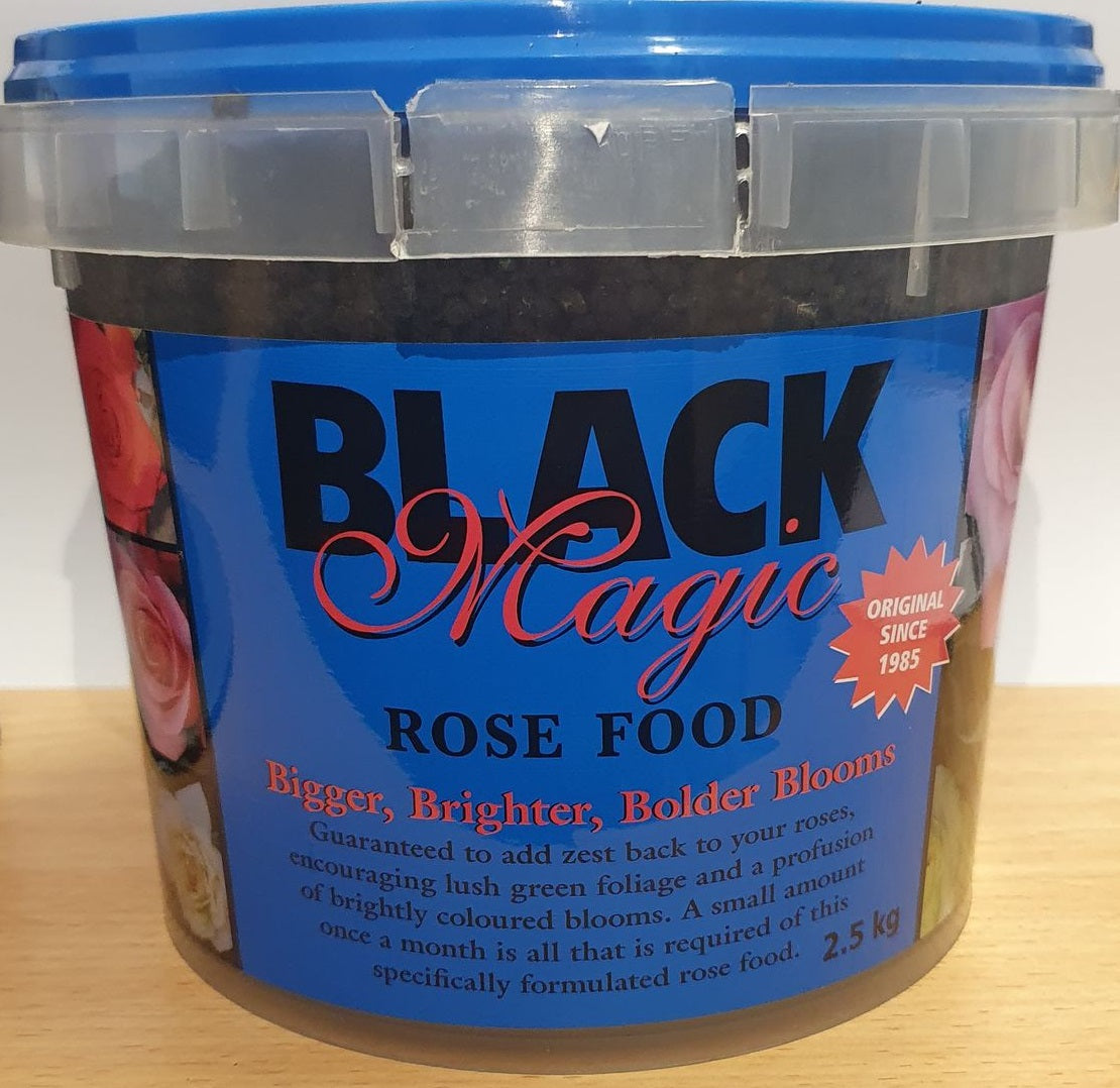 Black Magic For Roses