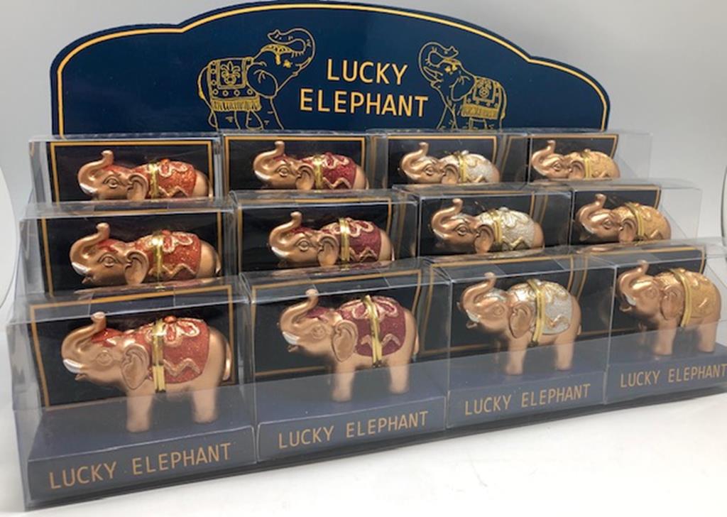 Lucky Elephant