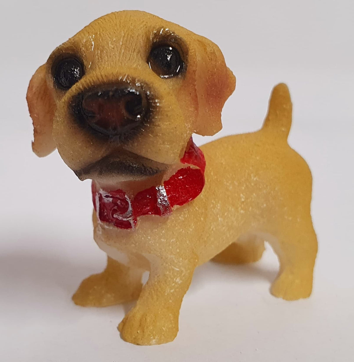 Puppy Pet