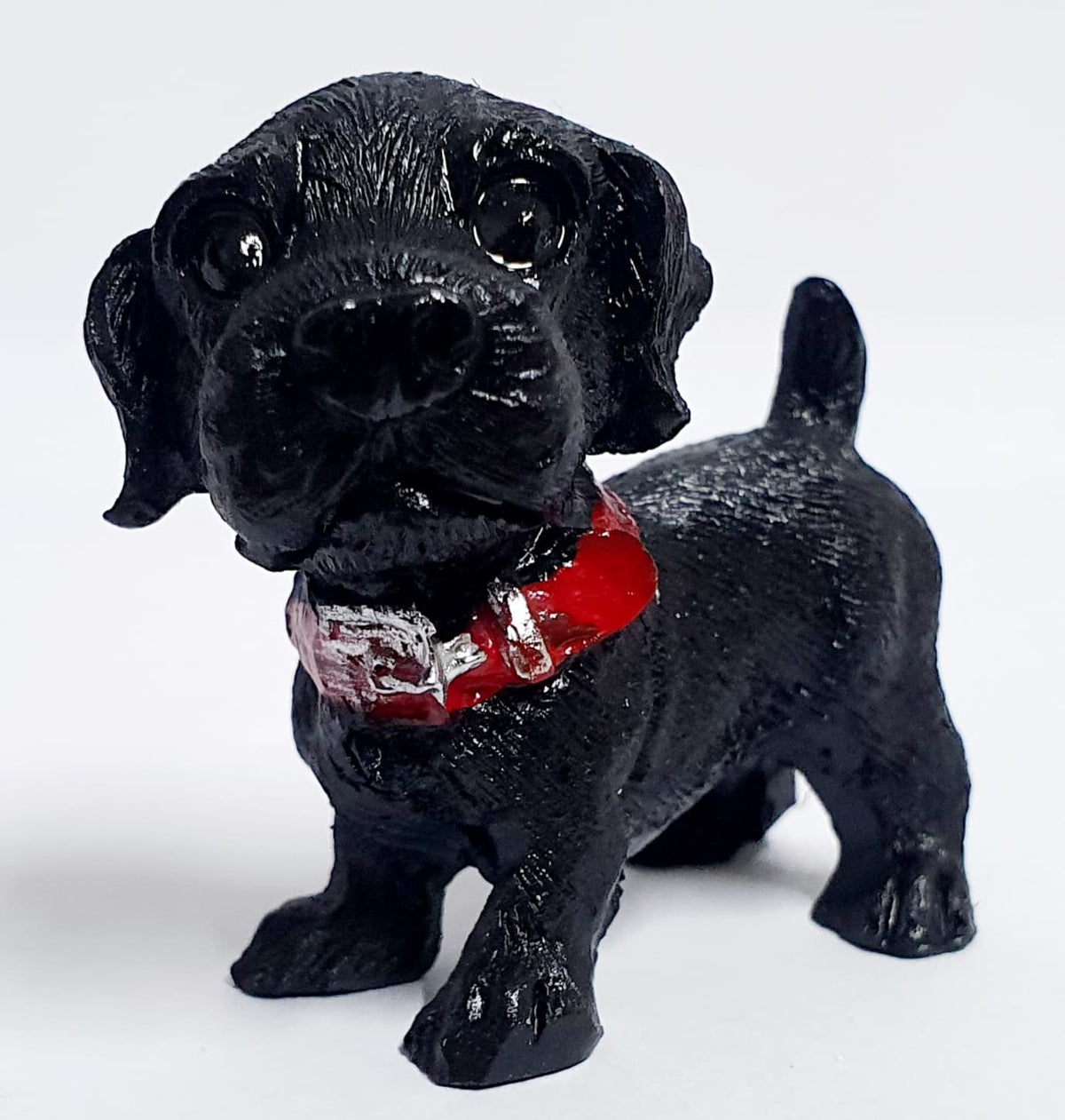 Puppy Pet