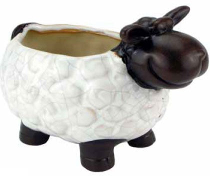Sheep Planter