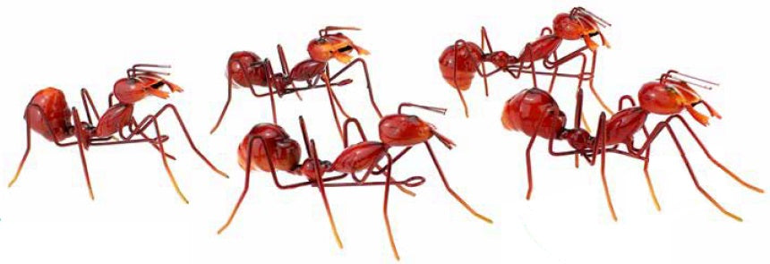 Small Metal Ant Walking Red