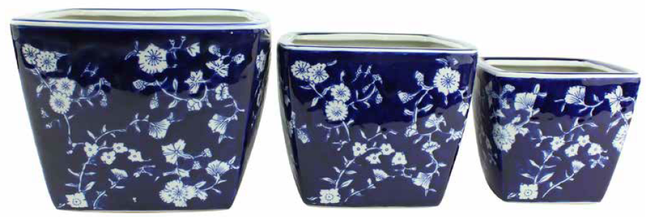 Square Pot Royal Daisy