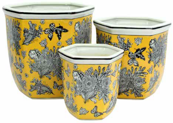 Hexagonal Pot With Saucer Wild Canary