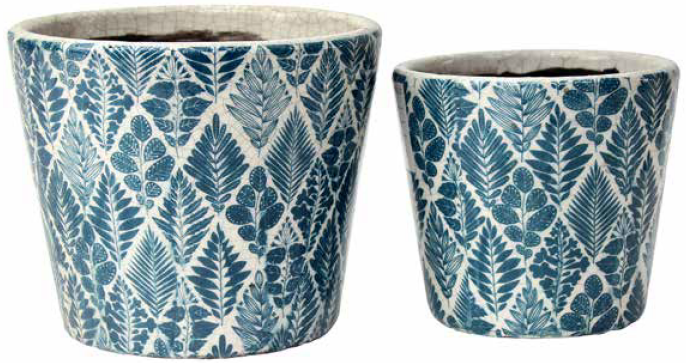 Rustic Round Pot Fern