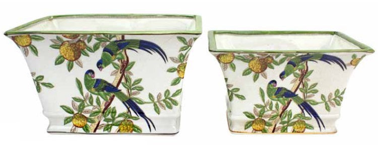 Rectangular Pot Oiseaux Citron
