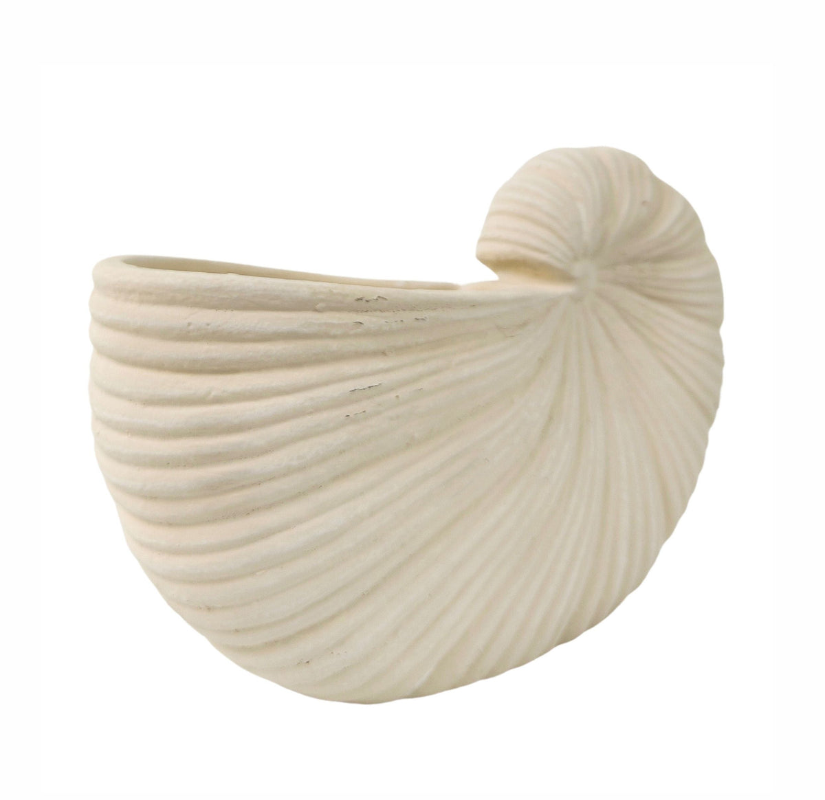Eva Shell Planter White